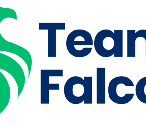 Team Falcons